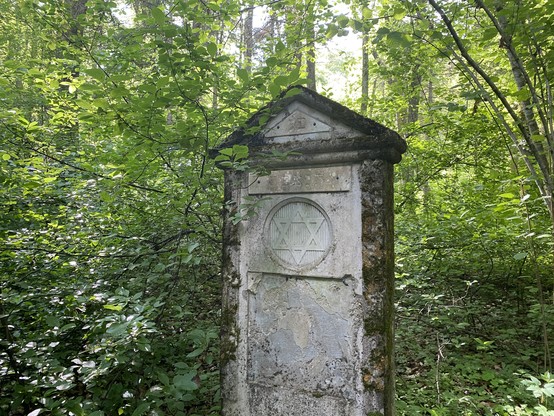 Ein einsamer jüdischer Grabstein am Steinberg in Mühldorf (Gemeinde Feldbach, Stmk).
